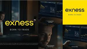 Exness Forex & Cfds A Comprehensive Guide to Trading Success