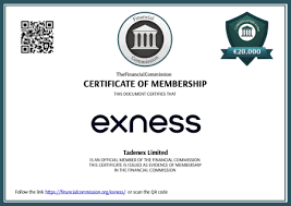 Everything You Need to Know About the Exness Margin Calculator